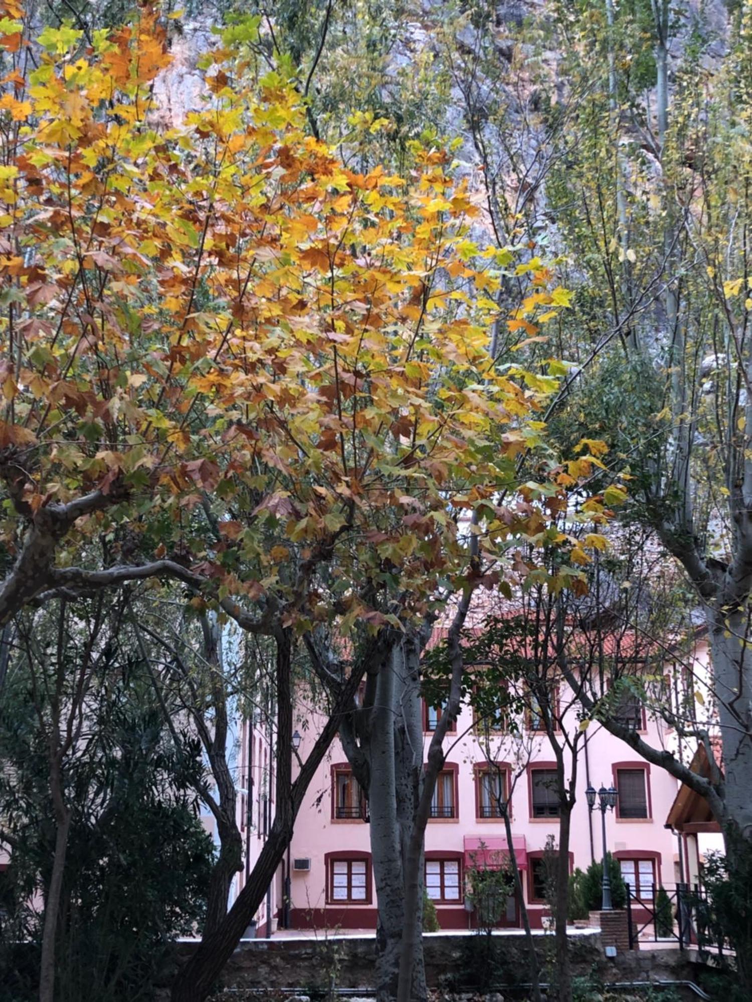Hotel Balneario De La Virgen Jaraba Extérieur photo